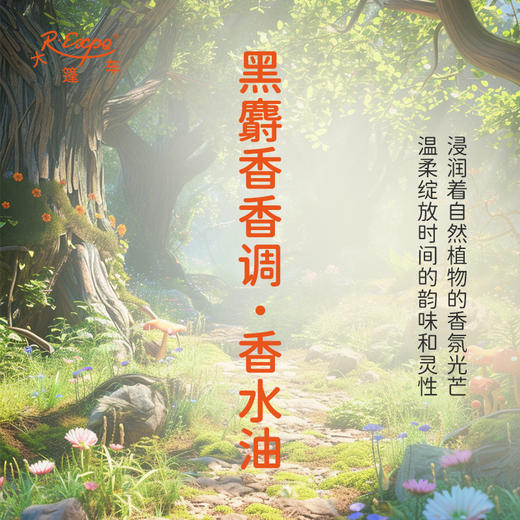 黑麝香香调香水油 植物精油香氛 适用护体香 护手油 润发丝 大篷车精油 商品图1