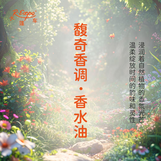 馥奇香调香水油 植物精油香氛 适用护体香 护手油 润发丝 大篷车精油 商品图1
