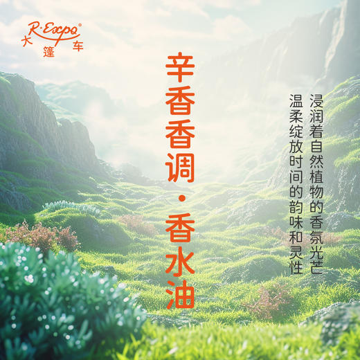 辛香香调香水油 植物精油香氛 适用护体香 护手油 润发丝 大篷车精油 商品图1