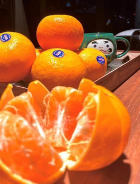 【哈尔滨落地配送】澳洲空运进口生态自然熟澳橘，九甜一酸，香味浓郁