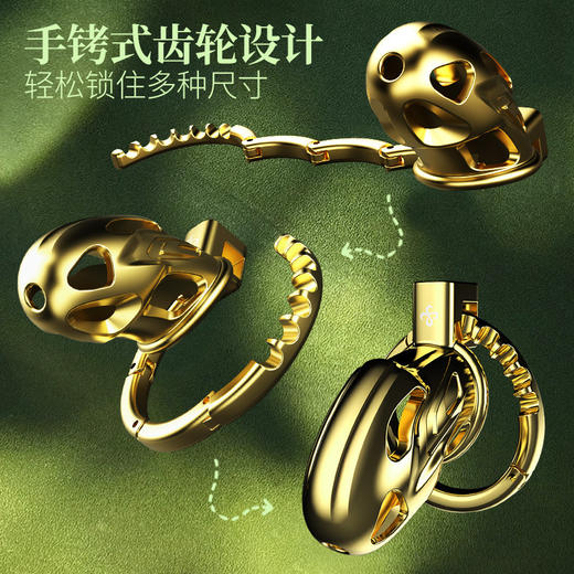 LOCKINK索迹御龙贞操锁男用CB锁阴茎锁成人情趣 商品图2