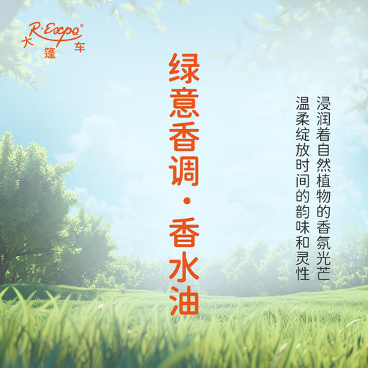 绿意香调香水油 植物精油香氛 适用护体香 护手油 润发丝 大篷车精油 商品图1