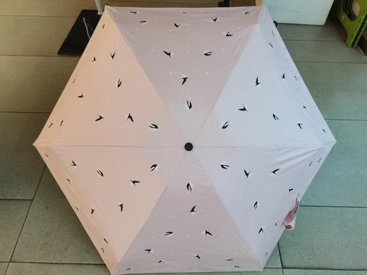 白井五折太阳伞 商品图8