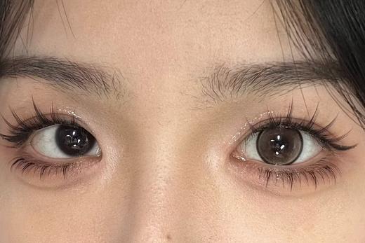 Yukicon日抛-圆崽崽棕（10p/盒） 商品图7