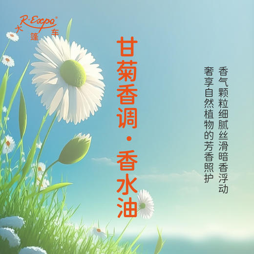 甘菊香调香水油 植物精油香氛 适用护体香 护手油 润发丝 大篷车精油 商品图2
