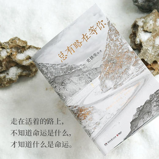 总有路在等你（史铁生等名家的人生悲喜书，不知道命运是什么，才知道什么是命运） 商品图4