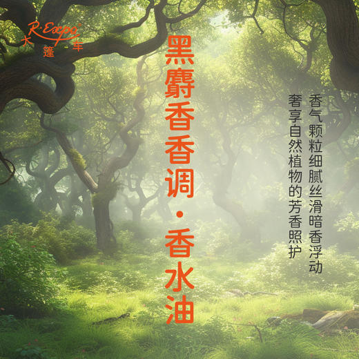 黑麝香香调香水油 植物精油香氛 适用护体香 护手油 润发丝 大篷车精油 商品图2