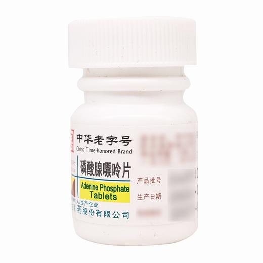 磷酸腺嘌呤片 【10mg*100片】天津力生 商品图4