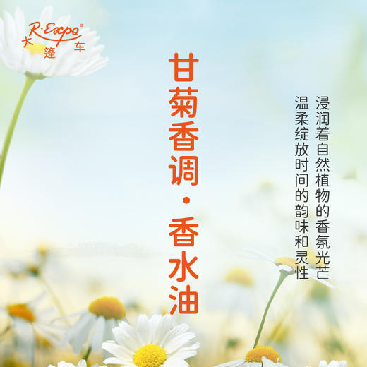 甘菊香调香水油 植物精油香氛 适用护体香 护手油 润发丝 大篷车精油 商品图1
