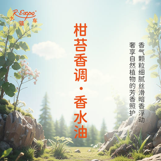 柑苔香调香水油 植物精油香氛 适用护体香 护手油 润发丝 大篷车精油 商品图2