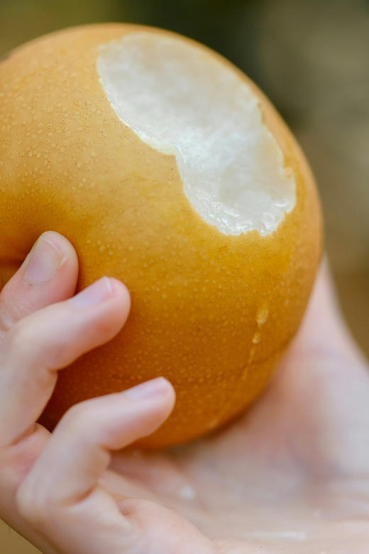 高颜值礼盒！【秋月梨王】吃一口，馋一年！自然生长 洁白清脆 细腻无渣 高甜水润 细腻宛如初秋水 肉白可比中秋月 咬着吃的“梨汁”~ 商品图2