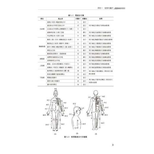 中医适宜技术 商品图3