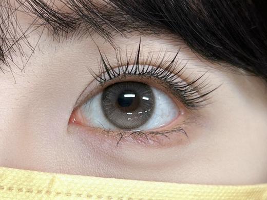 LuluAlice半年抛--陷入纯情(黑棕) 商品图5