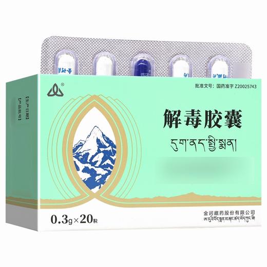 金诃,解毒胶囊【0.3g*10粒*2板】青海金诃 商品图1