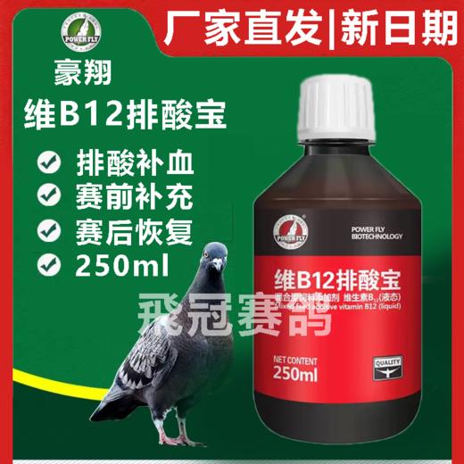 豪翔维b12排酸宝250ml 商品图0