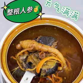 来点不一样的高端大气[爱心]人参花胶炖乌鸡✅整根人参✅花胶、乌鸡、虫草✅牛的是·自加热❗️
