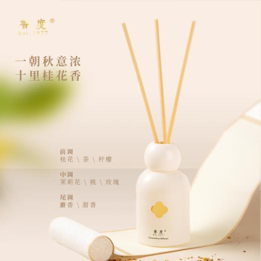 【小家电】雅事茗香商务套装MT-206 HF 商品图5