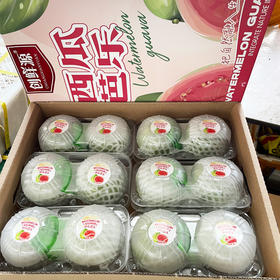 红心芭乐（12个装礼盒）