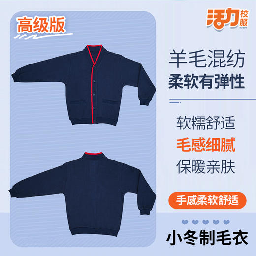 【高级版】深圳小学冬季保暖抗静电男女毛衣 商品图0