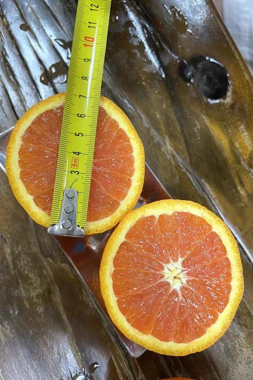 Cara Cara粉橙 ，产自于南澳大利亚墨累河流域，沐浴在纯净阳光与清新空气中的脐橙，昼夜温差大，自然生长。得天独厚的地理位置赋予它浓郁的香甜，果肉饱满多汁，一口尽享大自然的馈赠。10斤/箱 商品图2