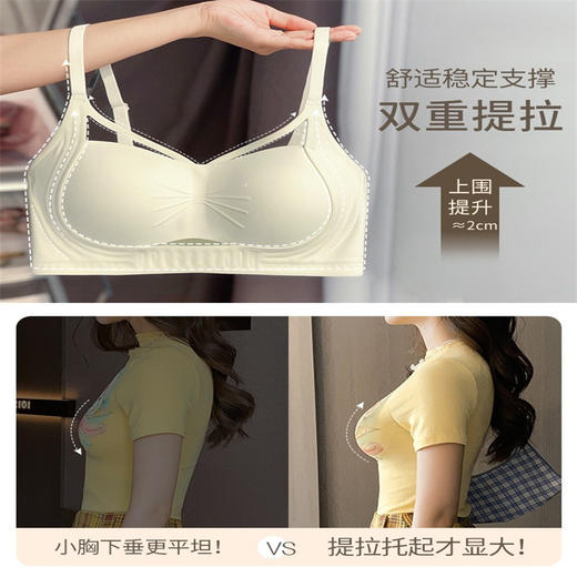 舒适提拉聚拢调整型  稳定支撑 2024新款提拉上托 小胸聚拢内衣女 薄款无钢圈 侧收副乳防下垂文胸罩 商品图2