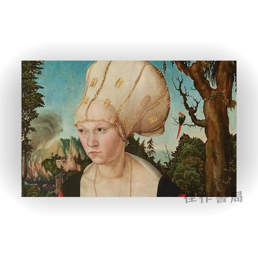 Cranach: The Early Years in Vienna / 克拉纳赫：维也纳的早年生活 商品图1