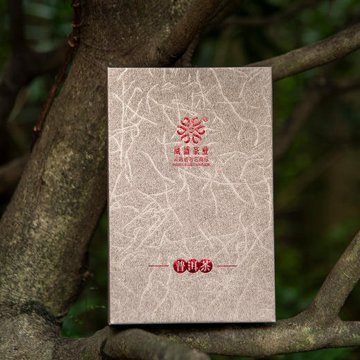 2010—2019十年哈尼公主品鉴装袋装普洱生茶80g 商品图0