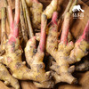 生态小黄姜仔姜 | 绿家自产* Organic ginger  | Self-production 商品缩略图1