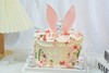 兔子的小花园 精灵兔兔，可可爱爱～纯动物奶油，口味可选 商品缩略图1