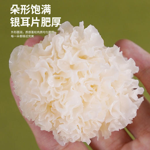 有机银耳 商品图8