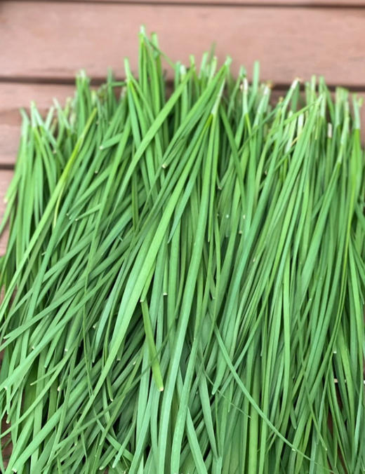 周二配送，水培蔬菜包，水培不用任何化肥农药，蔬菜鲜嫩，味浓，更干净！热爱生活不急着吃，可以回家继续水培！韭菜一斤、快菜一斤、芹菜一斤、小油菜一斤，共4斤 商品图3