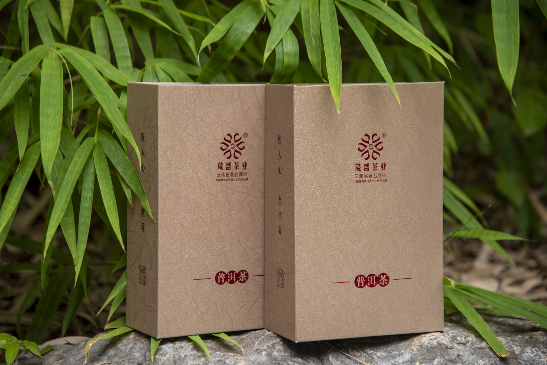 葳盛茶业2015年样样好普洱茶生/熟套装160克