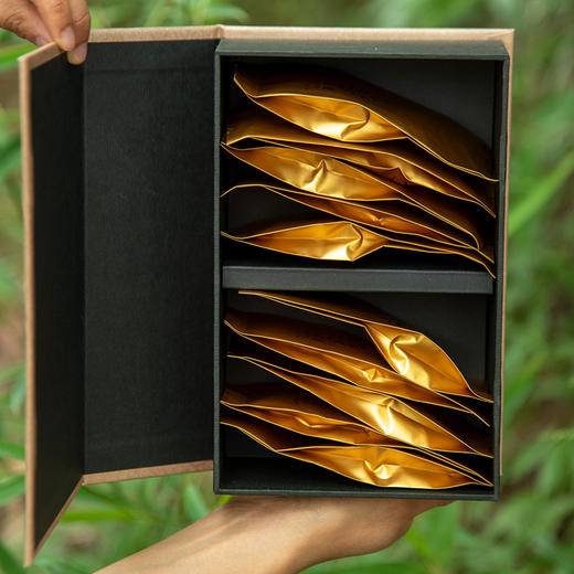 2010—2019十年哈尼公主品鉴装袋装普洱生茶80g 商品图6