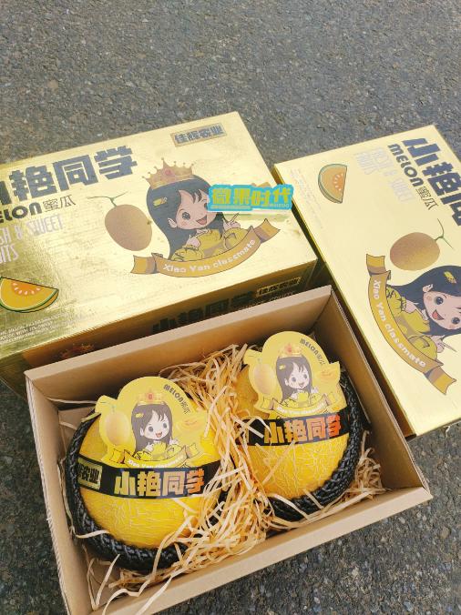 小艳同学网纹蜜瓜一箱（2粒装） 商品图4