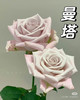 花木里曼塔 商品缩略图0