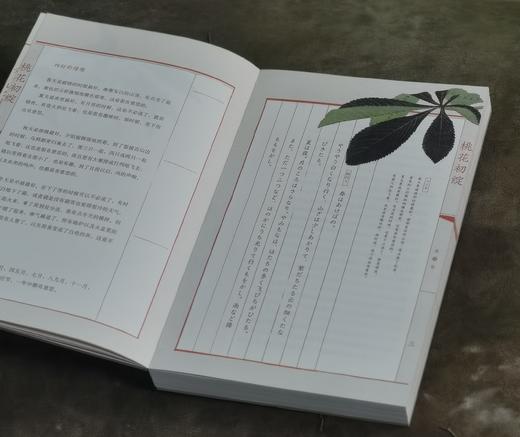 《枕草子》，16开，[日] 清少纳言著，周作人译，时代华语出品，江苏凤凰文艺出版社2019年一版一印，定价79.8元，售价24元。 商品图3