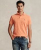 劳工节限时折扣！RL 拉夫劳伦男式经典款网眼 Polo 衫 ￥599 商品缩略图6