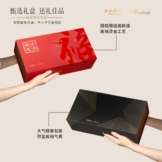 【小家电】福生万物茶礼套装MT-203 HF 商品图4