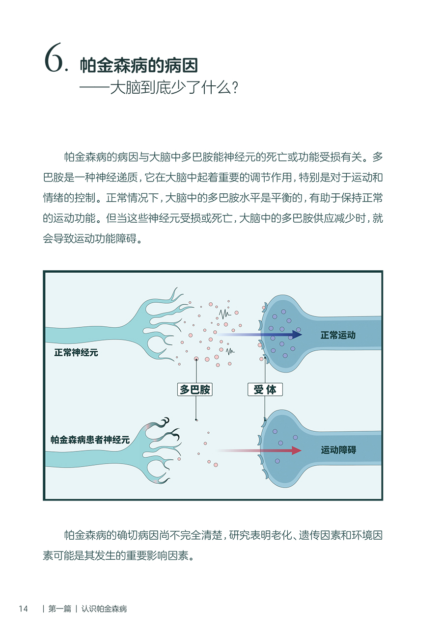 36485(yz) (8).jpg