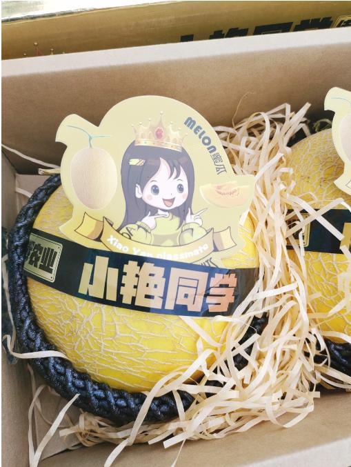 小艳同学网纹蜜瓜一箱（2粒装） 商品图1