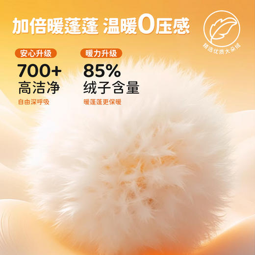 贝贝怡儿童羽绒服男童羽绒服外套ZB4DS036 商品图8