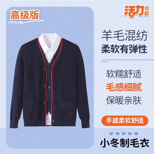 【高级版】深圳小学冬季保暖抗静电男女毛衣 商品图4