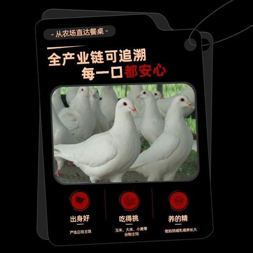 非遗百年老字·深圳家味康光明乳鸽 皮薄香脆 肉嫩多汁 商品图4