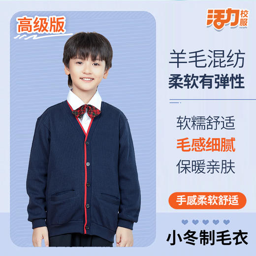 【高级版】深圳小学冬季保暖抗静电男女毛衣 商品图2