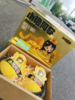 小艳同学网纹蜜瓜一箱（2粒装） 商品缩略图0