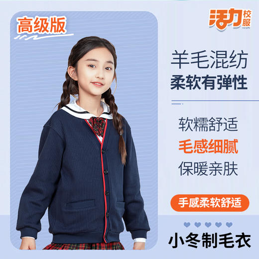 【高级版】深圳小学冬季保暖抗静电男女毛衣 商品图3