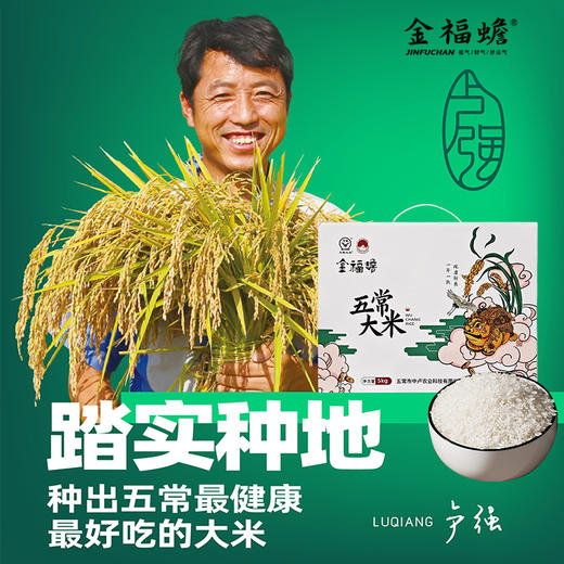 金福蟾五常大米5kg 礼盒 商品图1