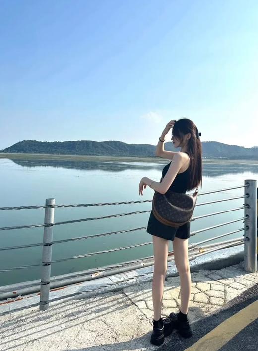 驴家M46311LOOP HOBO手袋，大月亮复古老花腋下豌豆包！46311 商品图2