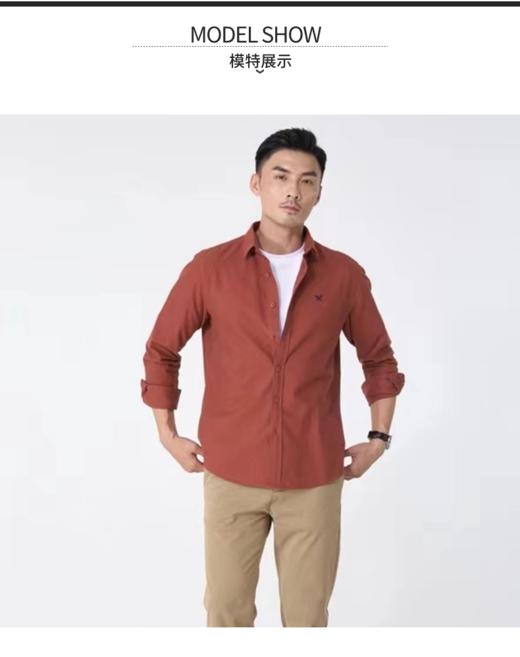 男装24秋冬新品休闲翻领长袖衬衫2219-9353 商品图1