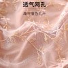 少女纯欲圆圆胸型内衣 小胸聚拢无钢圈 收副乳防下垂性感蕾丝文胸罩 商品缩略图4